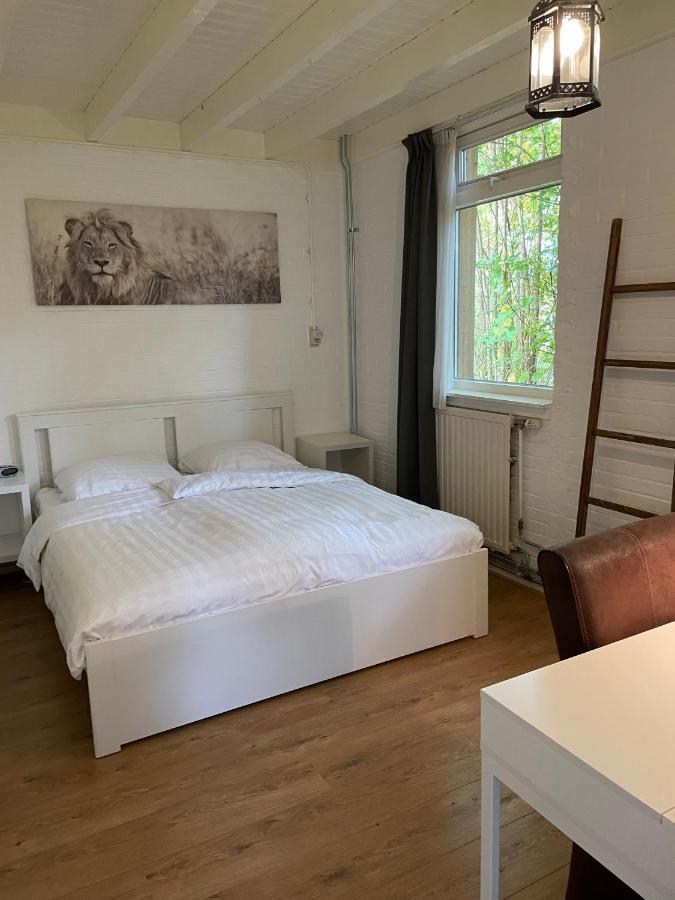 Vila Tofino, Een Comfortabel Vakantiehuis Naast Een Bos En Zwemmeer Gasselte Exteriér fotografie